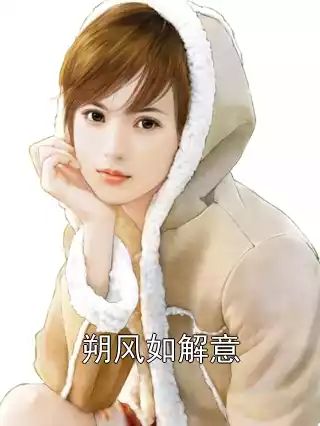 朔风如解意小说