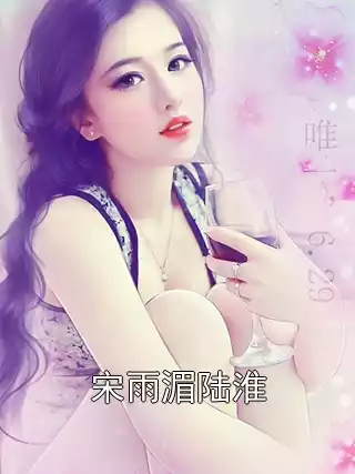宋雨湄陆淮小说