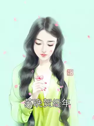 苏晚贺经年