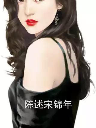 陈述宋锦年小说