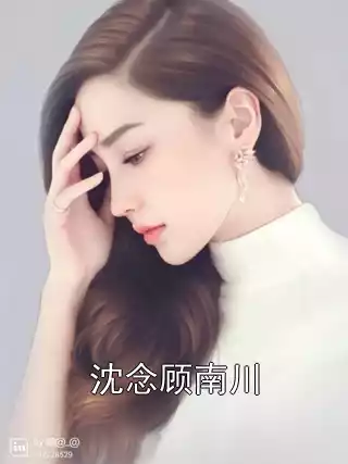 沈念顾南川小说