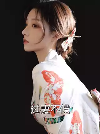 过妻不候小说