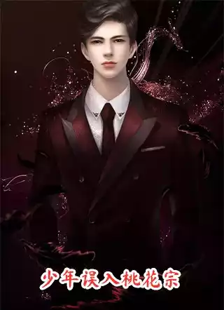 少年误入桃花宗小说