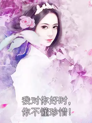 我对你好时，你不懂珍惜!小说