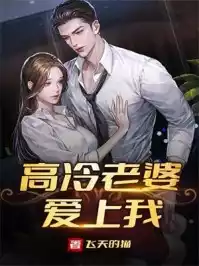 高冷老婆爱上我飞天的猫