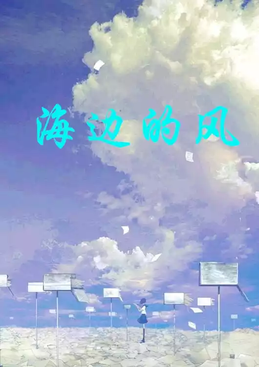 海边的风小说