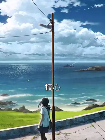 摘心小说