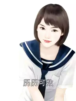 历历可数小说