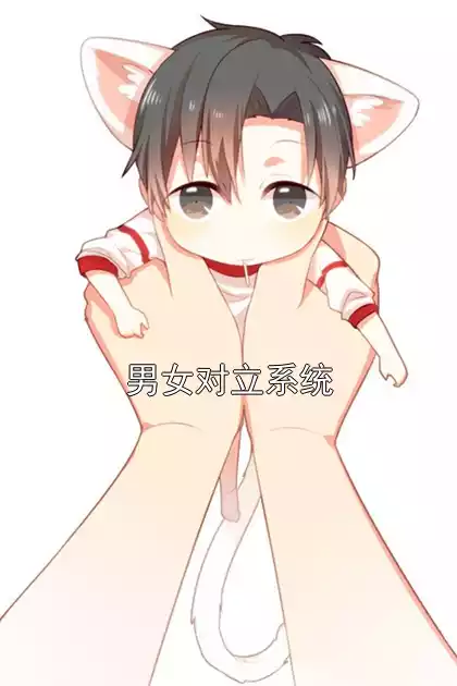 男女对立系统小说