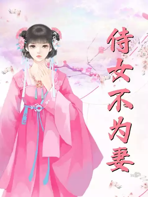 侍女不为妻小说