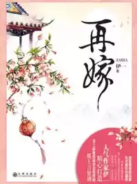 再嫁小说