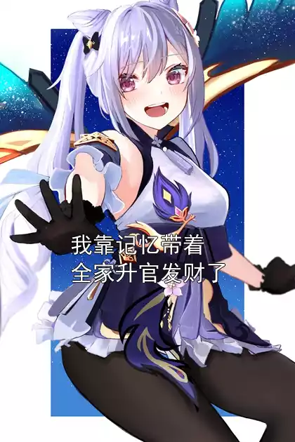 我靠记忆带着全家升官发财了小说