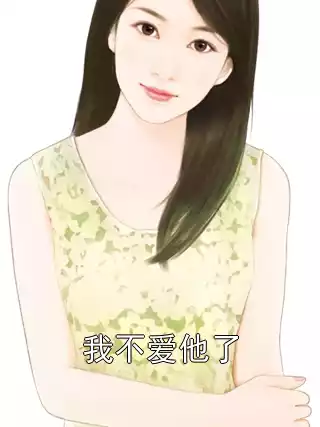 我不爱他了小说