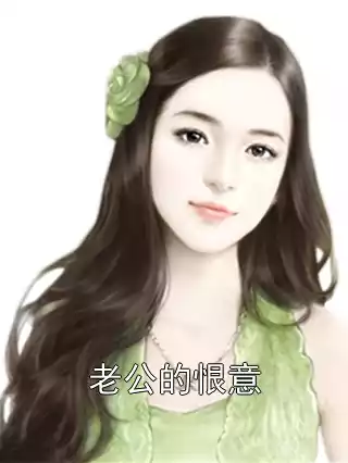 老公的恨意小说