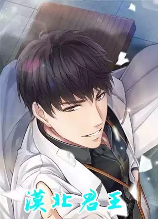 漠北君王小说