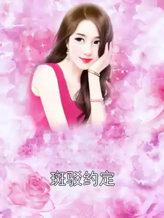 斑驳约定小说