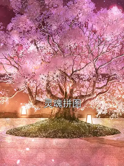 灵魂拼图