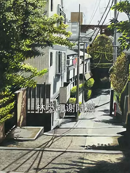 林觅知谢陆洲小说