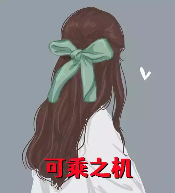 可乘之机小说