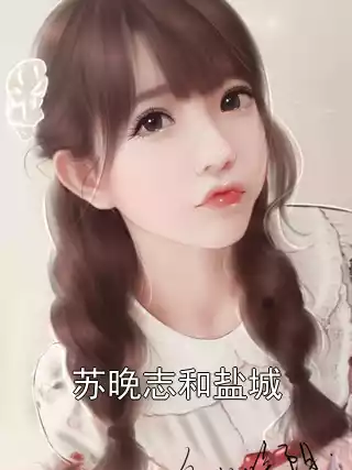 苏晚志和盐城小说