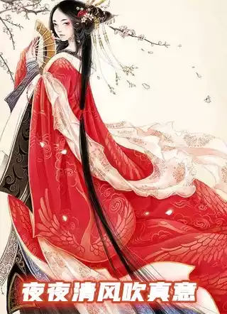 夜夜清风吹真意小说