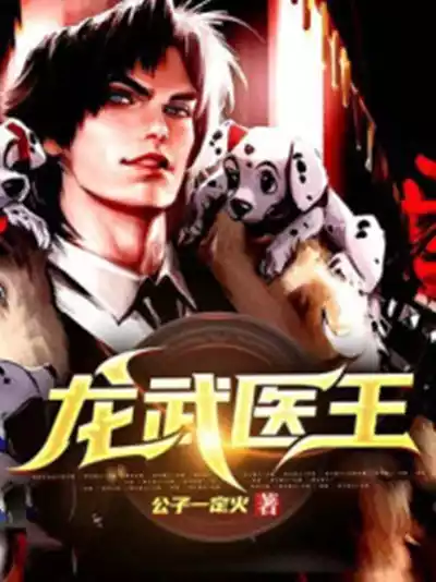 龙武医王小说