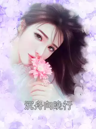 沉舟向晚行小说