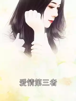 爱情第三者小说