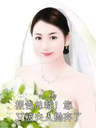 报告总裁！您又被夫人抛弃了小说