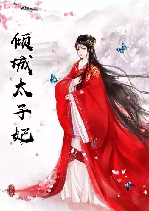 倾城太子妃小说