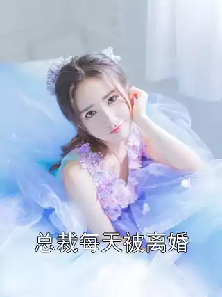 总裁每天被离婚小说