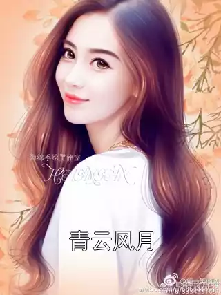 青云风月小说