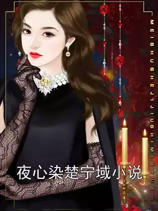 夜心染楚宁域小说小说
