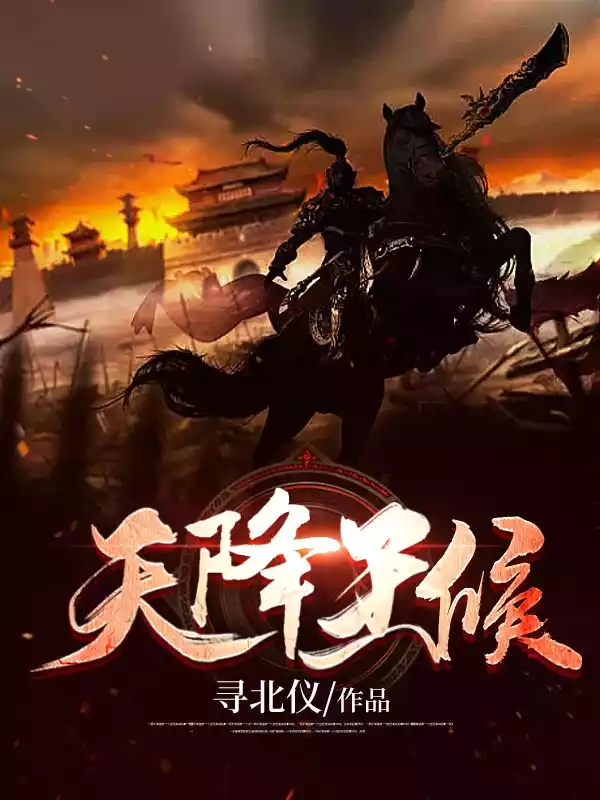 天降王侯小说