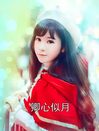 卿心似月小说