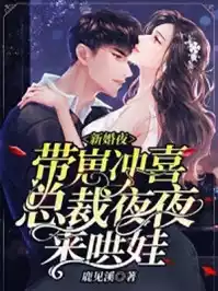 新婚夜带崽冲喜总裁夜夜来哄娃小说
