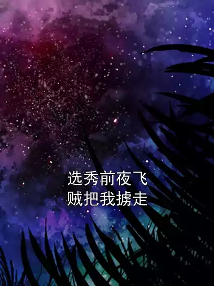 选秀前夜飞贼把我掳走小说