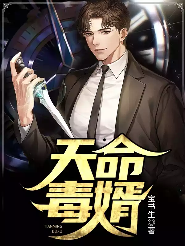 天命毒婿小说