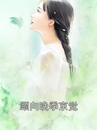 顾向晚季京觉小说
