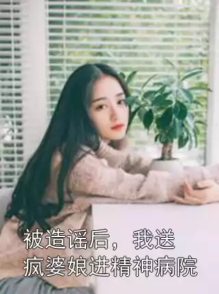 被造谣后，我送疯婆娘进精神病院小说