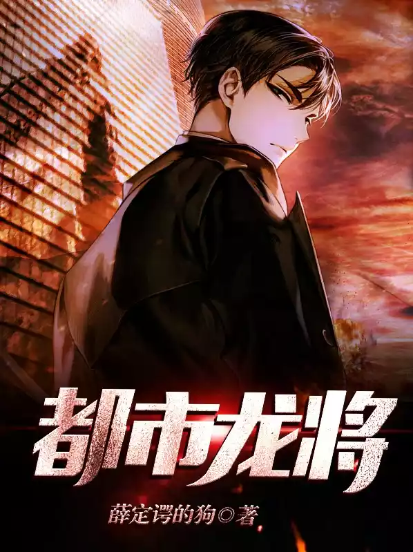 都市龙将小说