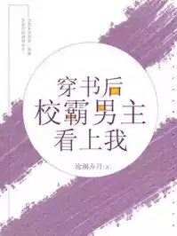 穿书后校霸男主看上我小说