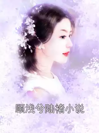 顾浅兮陆褚小说小说