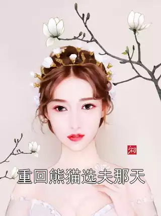 重回熊猫选夫那天小说