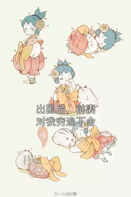出国后，前妻对我穷追不舍