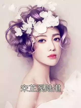 宋芷溪陆湛小说