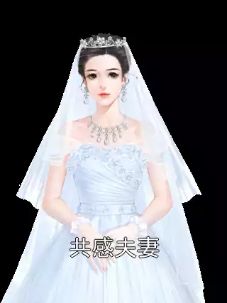 共感夫妻小说