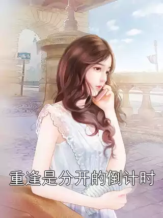 重逢是分开的倒计时小说