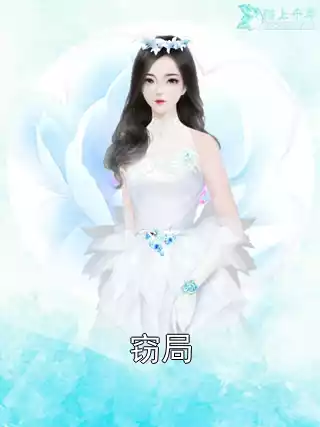 窃局小说