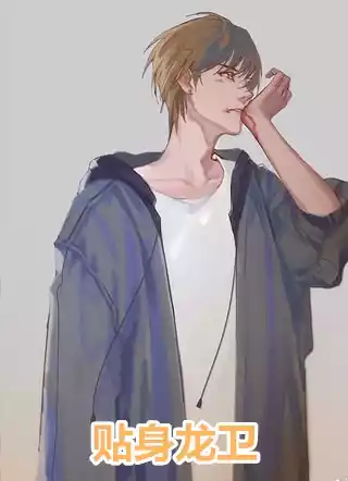 贴身龙卫